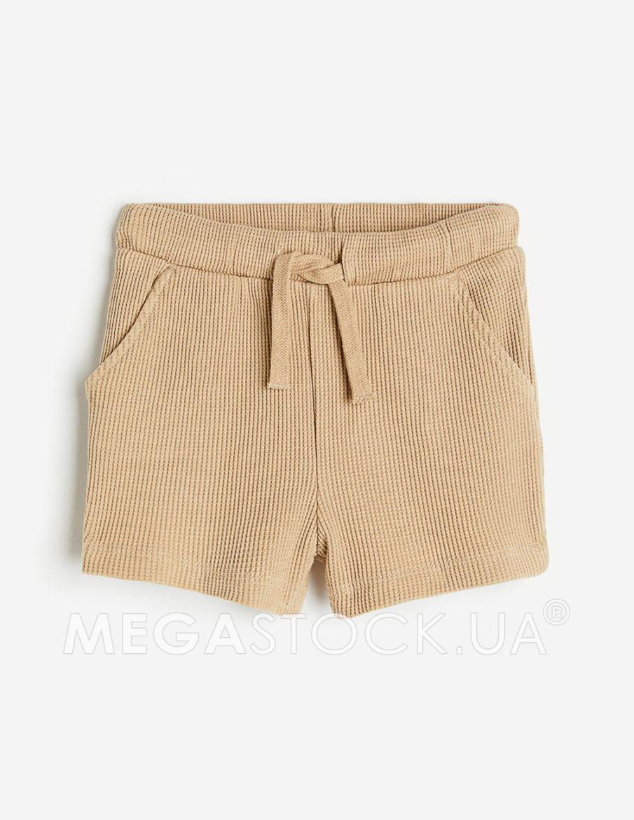 dm008840-1