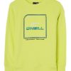 Світшот O'NEILL ДМ010922 (4750008) колір зелений