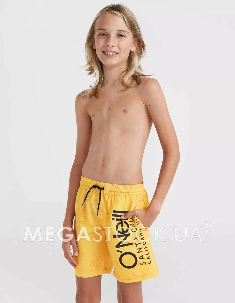 DM010982-2