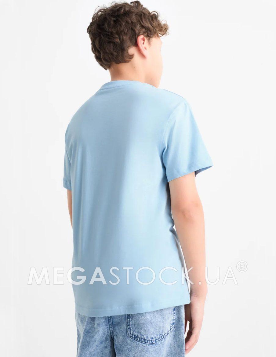 DM011083-2